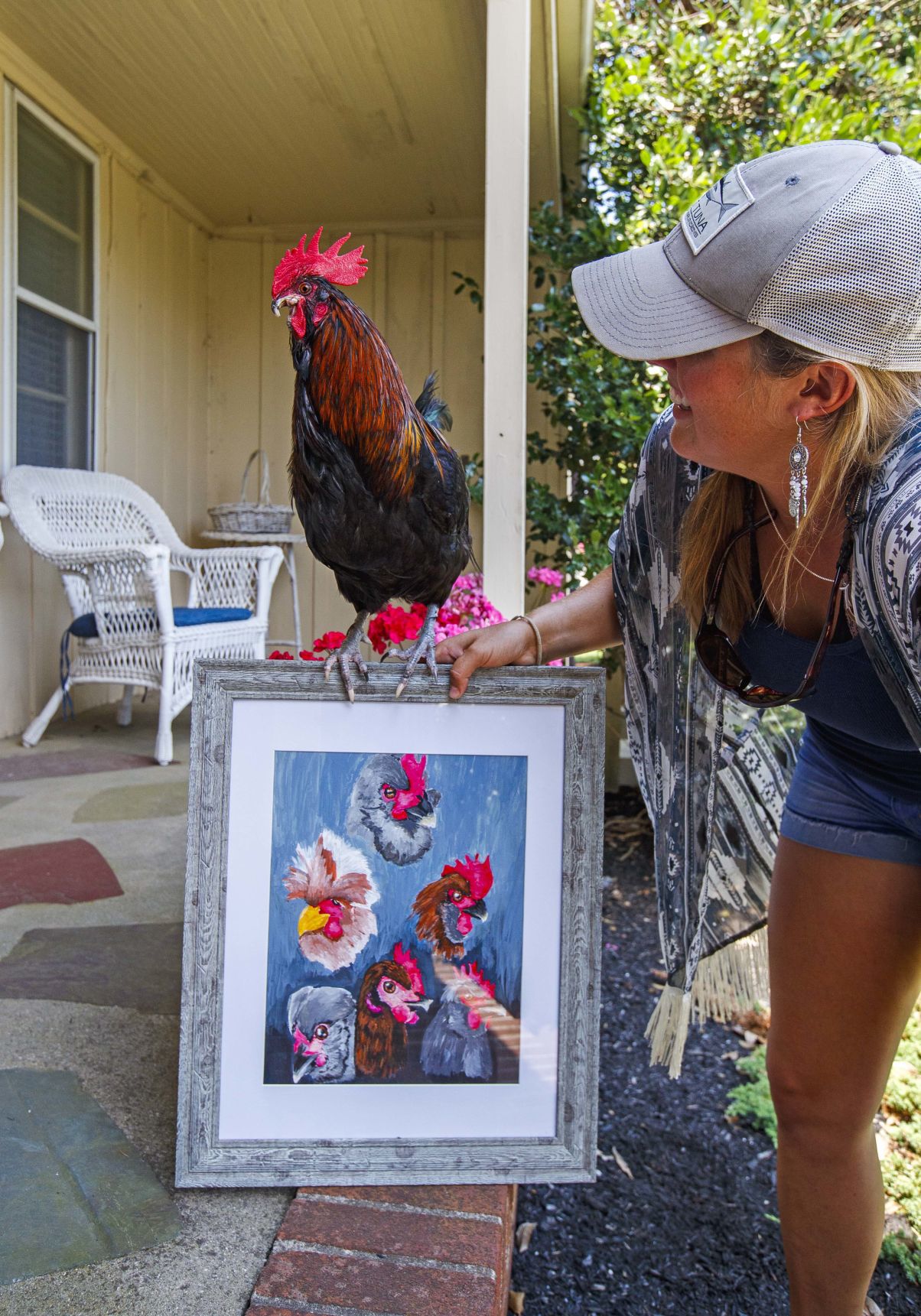 Bluff, an adventurous Rooster